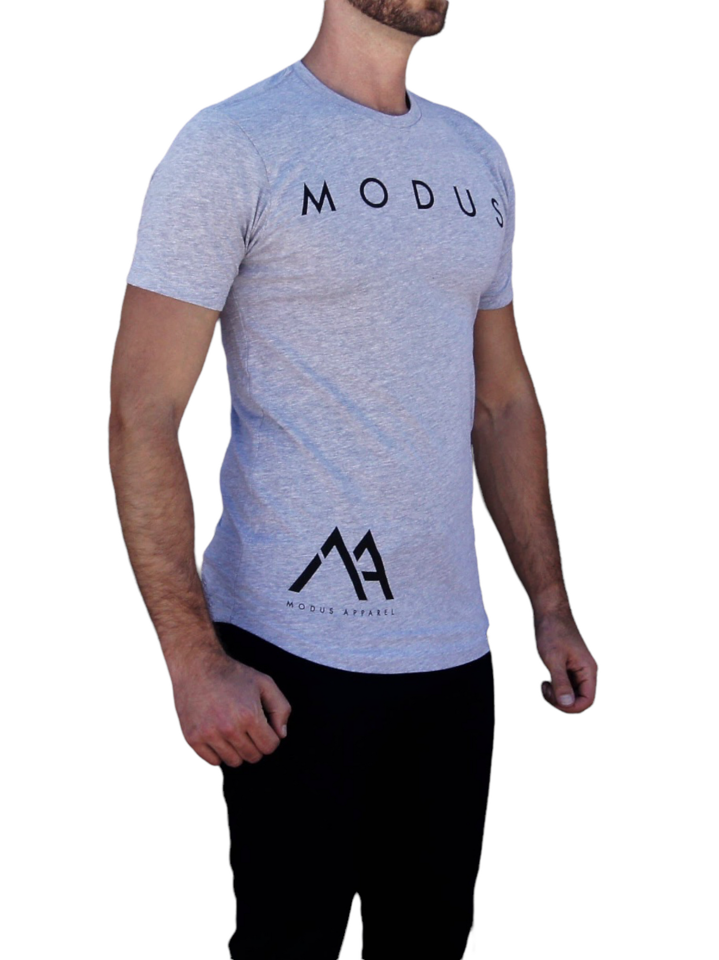 MODUS SCOOP BOTTOM HEATHER GRAY TEE