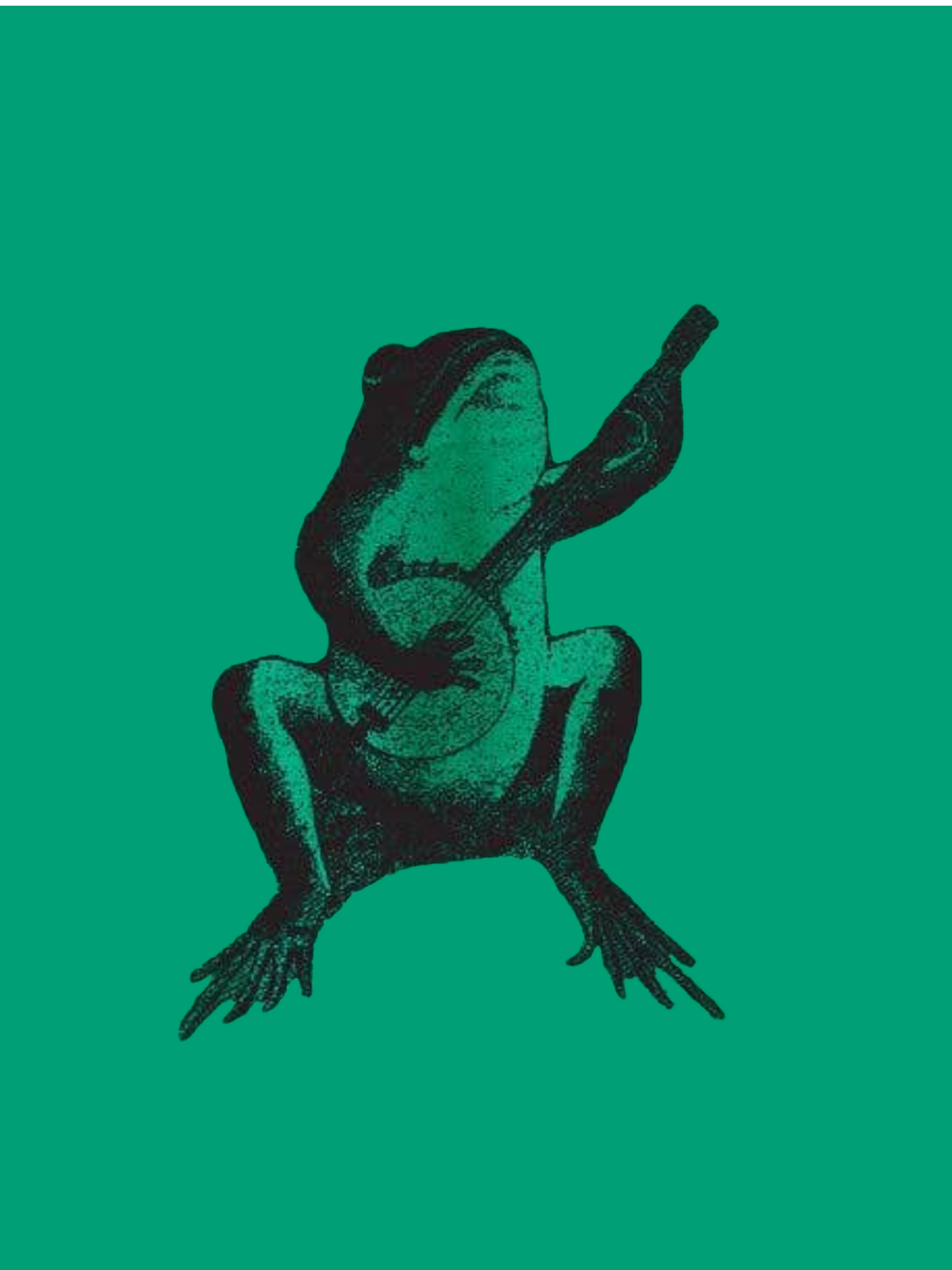 FROG PLAYING BANJO TEE