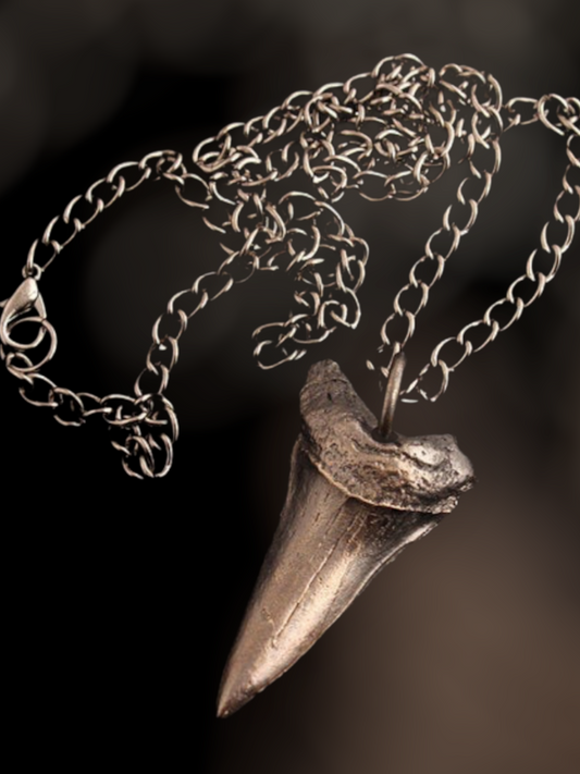 BRASS REPLICA SHARK TOOTH NECKLACE PENDANT